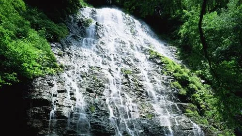 智能系统稳定性高端